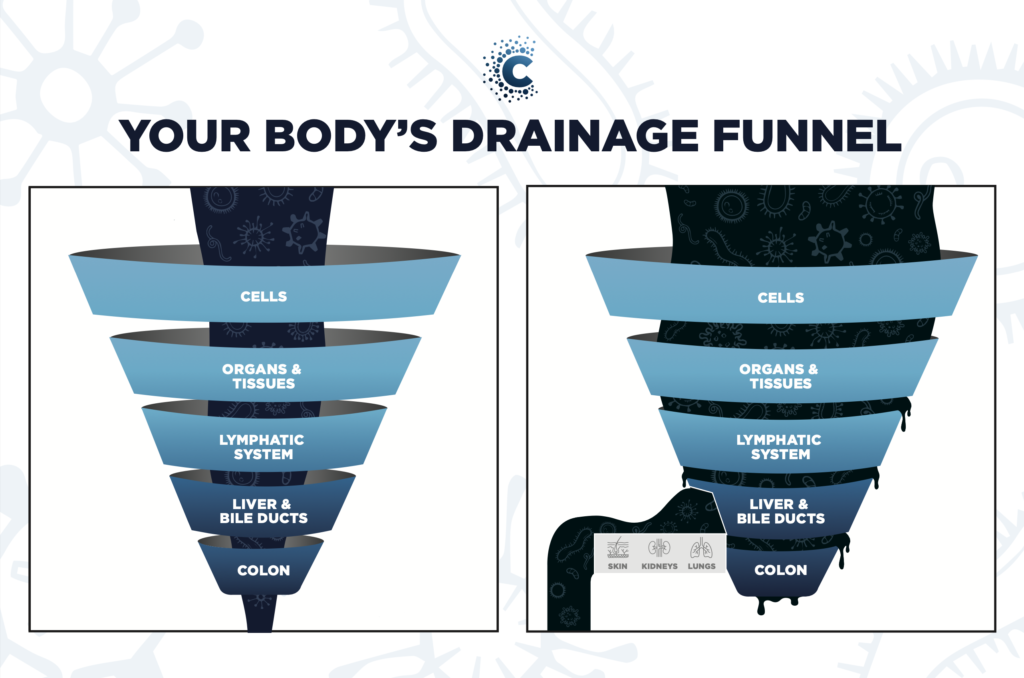 Regenerative Laser Therapy Alpine Integrative Acupuncture Juneau